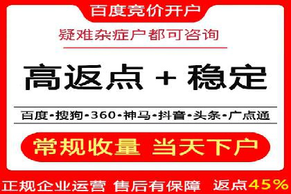 SEM专员的角色与成功案例解析